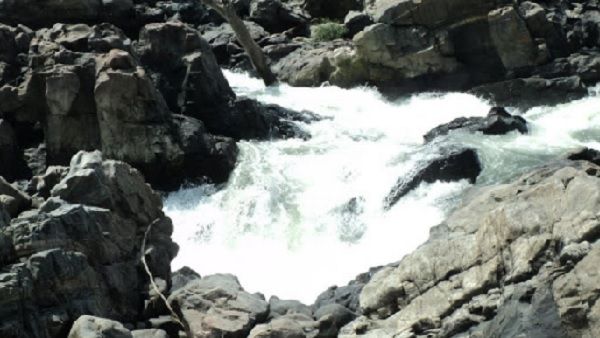 NE मानसून से तमिलनाडु बेहाल, कावेरी में उफान, तोड़ा 11 साल का रिकॉर्ड, Alert जारी