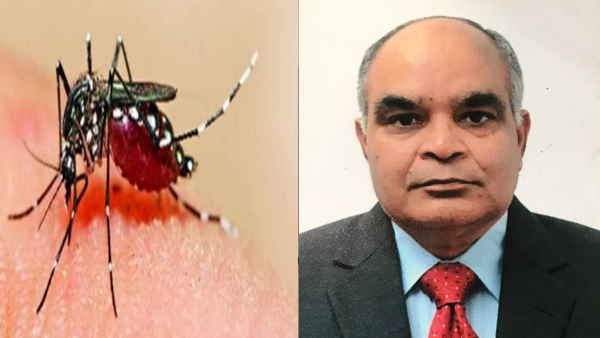 Zika Virus से क्‍या गर्भवती महिलाओं को सबसे अधिक खतरा है? विशेषज्ञ से जानें सभी सवालों के जवाब