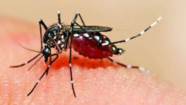 यूपी में Zika virus के अब तक 140 मामले, लखनऊ में बढ़ी मरीजों की संख्या