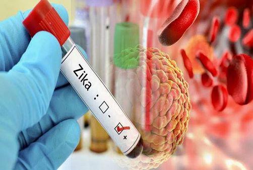 Zika virus: कोरोना के बीच एक और वायरस, कहां से आ रहा है यह? यूपी में 121 संक्रमित हुए