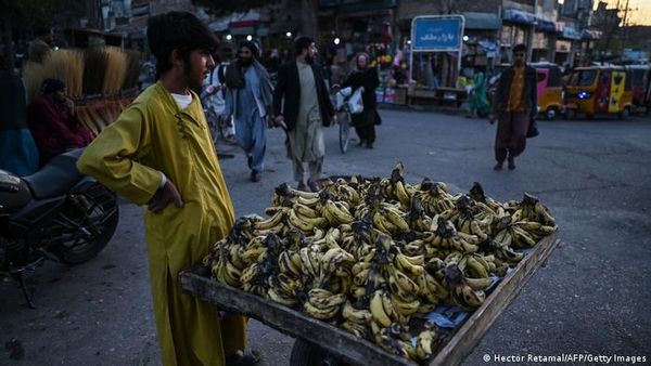 जो सीरिया में पांच साल में हुआ, अफगानिस्तान में पांच महीने में हो गयाः रिपोर्ट