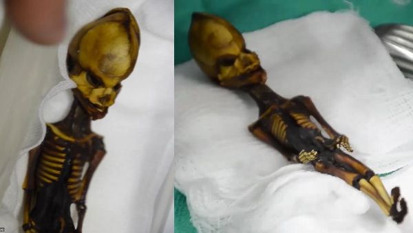 चर्च के पास मिला था 6 इंच के 'एलियंस का कंकाल', 18 साल बाद उठा रहस्य से पर्दा
