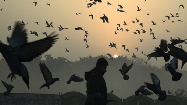 Weather Updates: अब पड़ेगी हाड़ कंपाने वाली सर्दी, NE में बदलेगा मौसम, जानिए दिल्ली का हाल