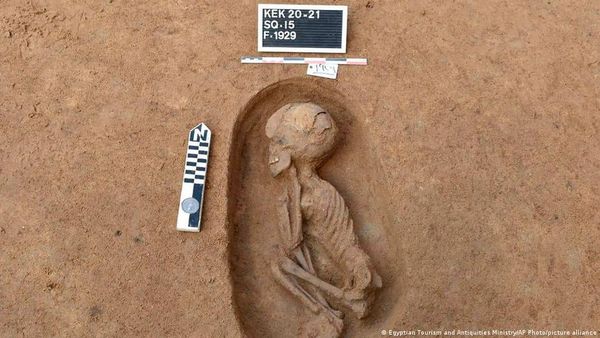 मानव अवशेषों के प्रदर्शन को लेकर छिड़ी बहस