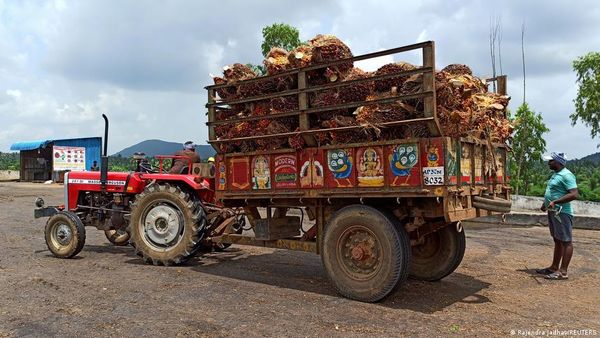 'छोटे व्यापारी भुक्तेंगे': भारत में कई चीजों के वायदा व्यापार पर बैन