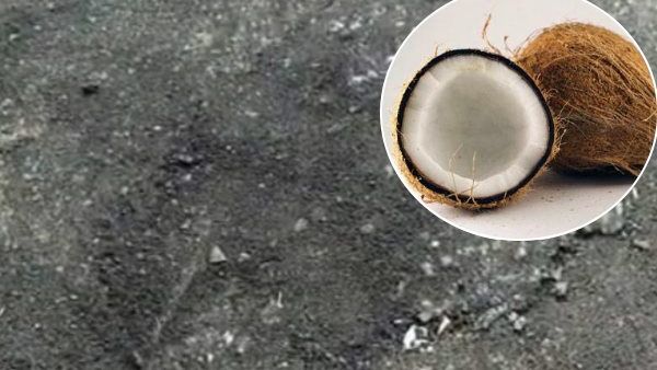 OMG! नारियल गिरते ही धंस गई सवा करोड़ की लागत से बनी सड़क, बीजेपी MLA गुस्सा होकर चली गईं