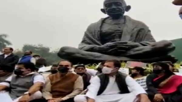 राज्यसभा के 12 सांसदों के निलंबन के खिलाफ संसद में विपक्ष का धरना,राहुल गांधी भी हुए शामिल