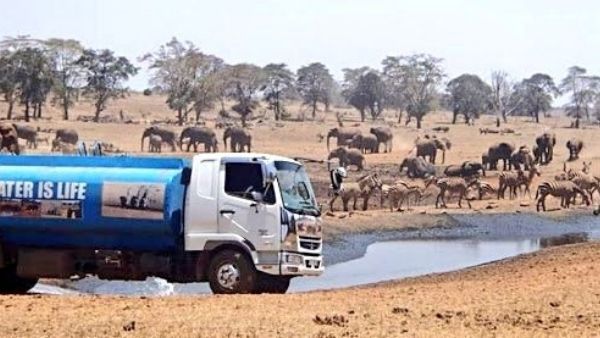 केन्या में अकाल से भीषण हालात, सामने आईं दिल दहला देने वाली तस्वीरें, मारे जा रहे जानवर और इंसान