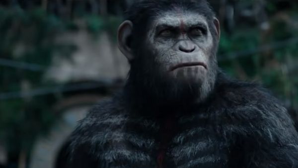 प्रयोगशाला में 'महायोद्धाओं' की फौज तैयार कर रहा चीन, क्या धरती का विनाश कर देंगे सुपर सोल्जर?