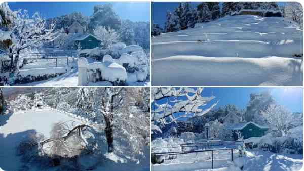 आनंद महिंद्रा ने कश्मीर की तस्वीरों के साथ लिखा ऐसा संदेश, भारत की खूबसूरती पर फिदा हुए यूजर्स