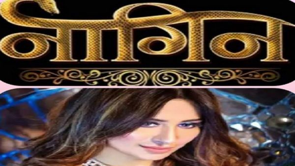 ना रुबीना ना तेजस्वी , टीवी की ये Hot अभिनेत्री बनेगी एकता की 'नागिन' , जानिए कौन है वो?