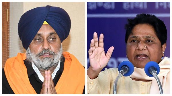 पंजाब के चुनाव में कैसे हिस्सा ले रही है बसपा, किससे होगा गठबंधन? पार्टी प्रभारी ने बताईं ये बातें