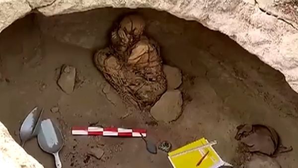 पेरू में कुत्ते और सब्जियों के साथ रस्सियों में बंधा ममी मिला, हजार साल पुराने ममी पर रहस्यमयी खुलासे
