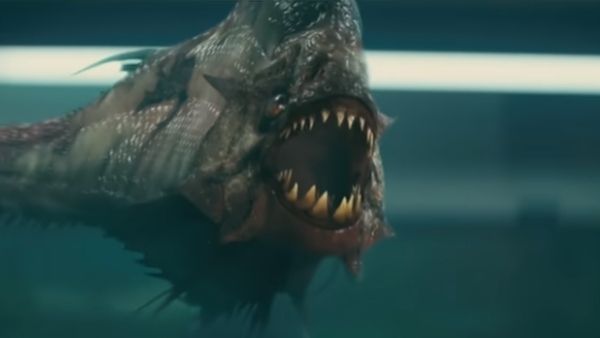 पिरान्हा ने Beach पर मचाया जमकर आतंक, जलदैत्य ने पलक झपकते ही मार डाले चार लोग