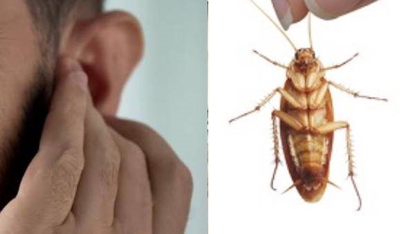 कान में पानी होने के वहम में तीन दिन तक घूमता रहा, डॉक्टर के पास गया तो मिला जिंदा कॉकरोच