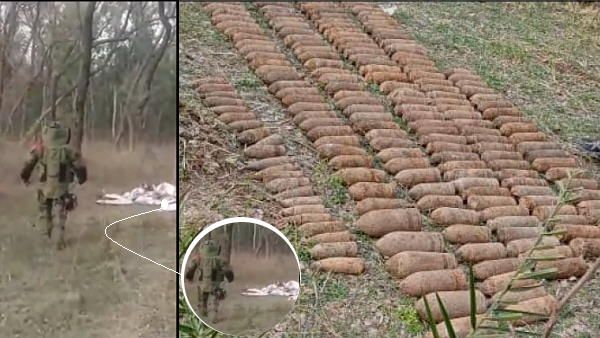 हरियाणा के जंगल में मिले 230 बम, कहां से आए और किसके हैं? पुलिस ने बुलाई सेना, इलाका सील