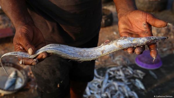 पुरानी यादों को नक्शे पर उकेरकर मुंबई को बचाने की पहल