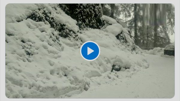 VIDEO: हिमाचल में हिमपात, IMD ने कहा- बारिश भी होगी, इन इलाकों में भारी बर्फबारी का अलर्ट