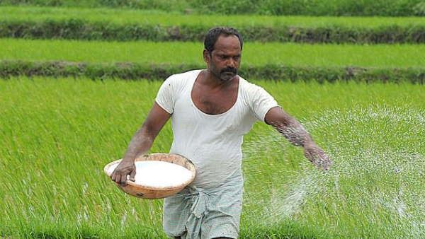 धान के कटोरे छत्तीसगढ़ में खाद की कमी,किसान बेहाल,सियासत जारी