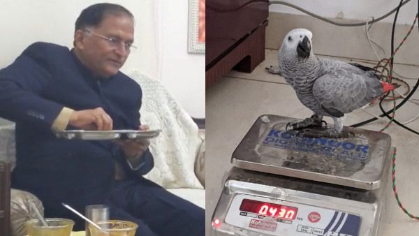 सीकर के वीके जैन अस्पताल से गुम हुआ तोता, डॉक्टर परिवार ने ढूंढने वालों को ईनाम देने की घोषणा की