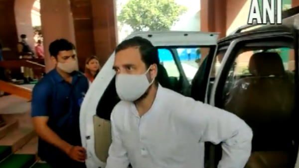 संसद पहुंचे राहुल गांधी से हुआ सिब्बल के 'घर की कांग्रेस' कमेंट पर सवाल, जानिए कैसा था रिएक्शन