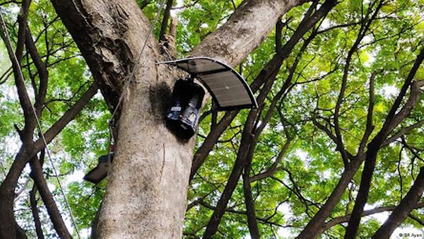 दक्षिण-पूर्व एशिया में हो रही है डिजिटल फार्मिंग क्रांति