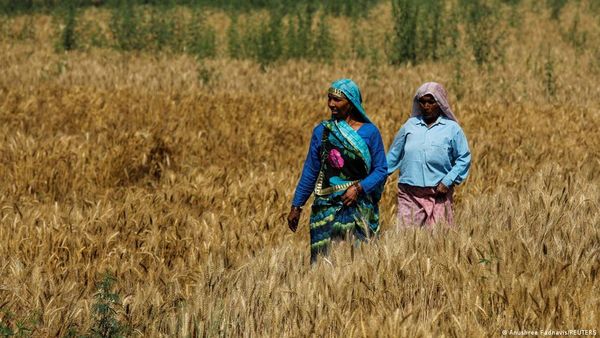 यूक्रेन युद्ध के कारण चांदी कूट रहे हैं ये भारतीय व्यापारी