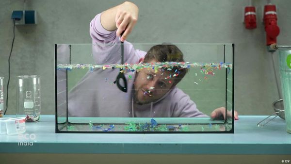 गंदे पानी से माइक्रोप्लास्टिक निकालने में सब्जियां आएंगी काम