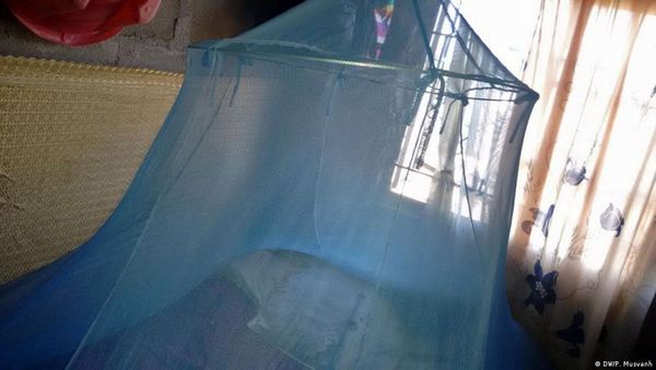 कीटनाशक से लैस मच्छरदानी बचा रही मलेरिया से