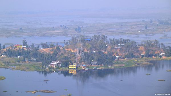 सुप्रीम कोर्ट की बनाई समिति ने कहा, वृक्षारोपण की योजना बंद करे सरकार