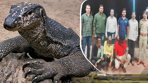 Bengal Monitor: वहशियों ने 'छिपकली' को भी नहीं बख्शा, जंगल में किया कुकर्म, 4 गिरफ्तार
