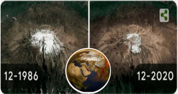 Earth Day: Climate Change जीवन को कैसे प्रभावित करता है, ये Google ने Doodle से बताया