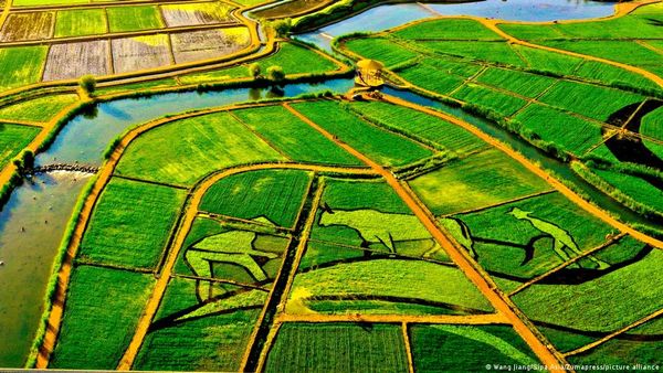 पृथ्वी दिवस पर अच्छी खबरः धरती का बोझ कुछ तो घटा है