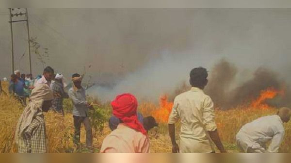 बिजली की चिंगारियों से लगी आग, खड़ी फसल कर डाली खाक, बुझाने जुटे 20 ट्रैक्टर, झुलसे 3 किसान