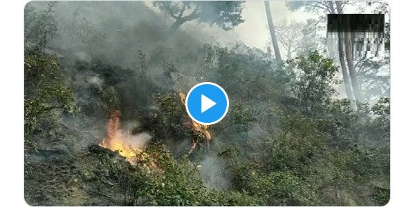 VIDEO: बर्फीले इलाके में भी आग का साया, लगातार जल रहा जम्मू का यह पर्वतीय जंगल