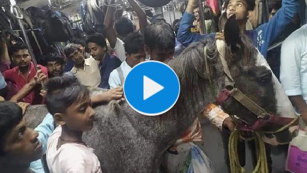 यात्रियों से भरी लोकल ट्रेन में चढ़ा लिया घोड़ा, फिर ऐसे किया सफर, वीडियो वायरल