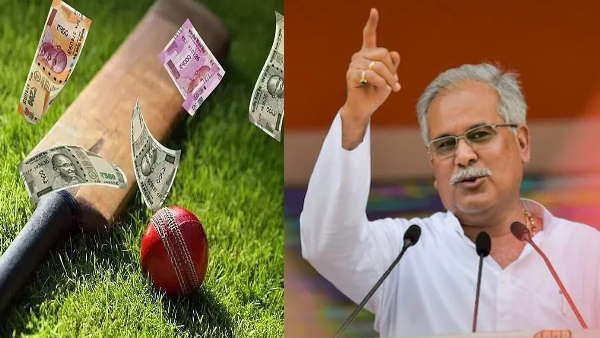 आईपीएल के दौरान हो रही जमकर सट्टेबाजी ,छत्तीसगढ़ के सीएम भूपेश बघेल ने लिया यह एक्शन !