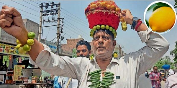 सिर पर नींबू का ताज सजाया, भिंडी का हार गले में लटकाया, साथ में लिए सुरक्षागार्ड, फिर नापा रास्ता