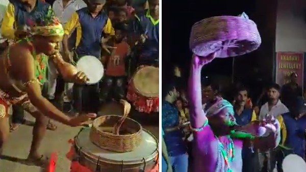 VIDEO: बारात में जैसे बजा नागिन वाला Song, जिंदा कोबरा के साथ डांस करने लगा शख्स, आगे क्या हुआ?