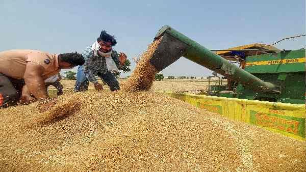 पश्चिमी देशों को भारत ने UN में दिखाया आईना, गेंहू के निर्यात में कोरोना वैक्सीन जैसा भेदभाव ना हो