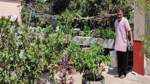 Organic Farming : मिट्टी के अलावा इच्छाशक्ति भी जरूरी, जमीन नहीं मिली तो प्रोफेसर ने छत पर बनाया किचन गार्डन