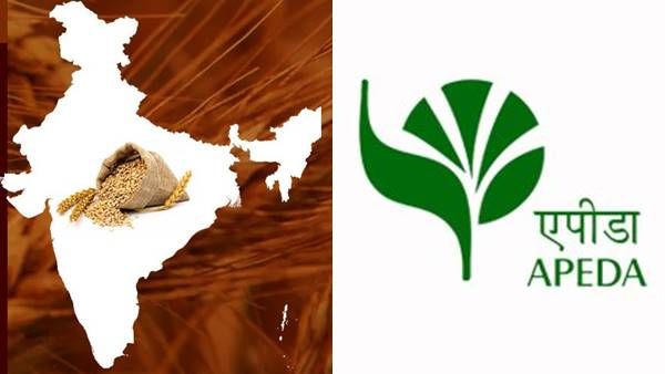 APEDA : गेहूं के रिकॉर्डतोड़ निर्यात का बैकग्राउंड हीरो, अन्य उत्पादों के एक्सपोर्ट का भी जिम्मा, जानिए सबकुछ