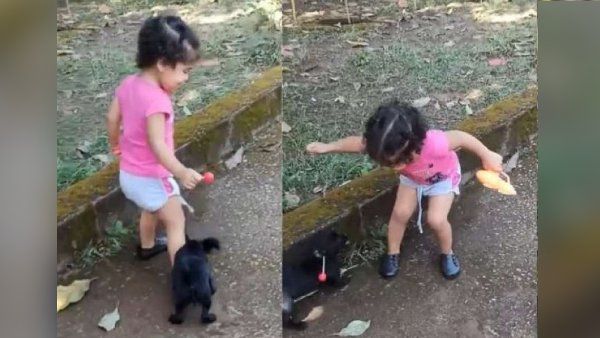 क्यूट सी बच्ची के पीछे पड़ा Puppy, मकसद पूरा हुआ तो भागा, अब तक 20 लाख लोगों ने देखा Video