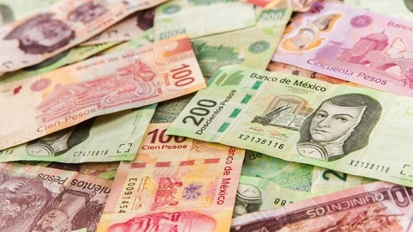 पिता के संदूक में मिली पासबुक लेकर युवक पहुंचा बैंक, इतने पैसे देख क्लर्क के उड़े होश, सरकार की बढ़ी टेंशन