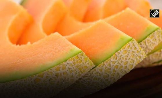 Muskmelon : गर्मी में हर दिन खाएं खरबूज, जानिए सेहत से जुड़े पांच कारण