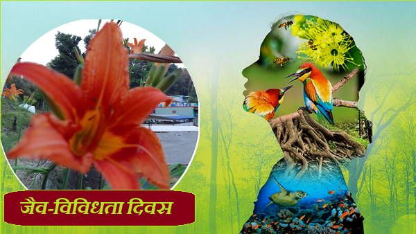अंतरराष्ट्रीय जैव-विविधता दिवस: जानिए ये क्यों मनाया जाता है, कब हुई शुरूआत, क्या है इस बार थीम?
