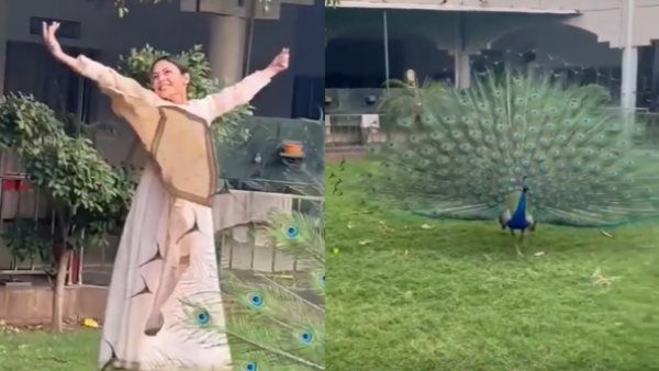 मोर के साथ डांस करती नजर आईं Shehnaaz Gill, सामने आया बेहद क्यूट वीडियो