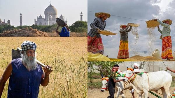 अन्नदाताओं के योगदान को मिला सम्मान, जानिए अब तक कितने किसानों को पद्म अवॉर्ड