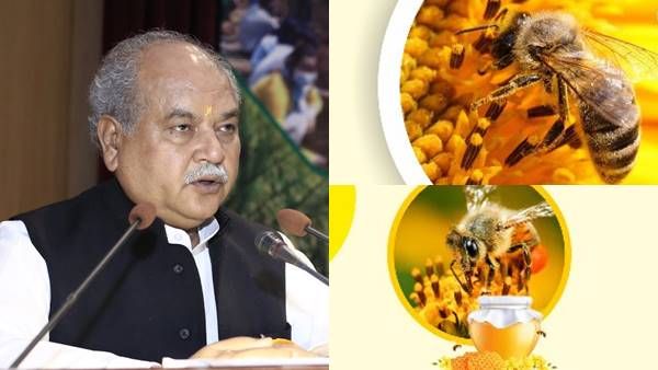 Honey Testing : भारतीय शहद का 100 देशों में करोड़ों का कारोबार, 5 राज्यों में नए लैब और प्रोसेसिंग यूनिट