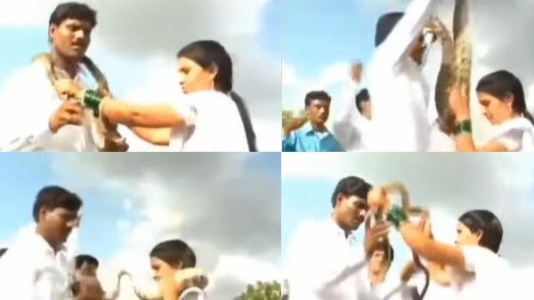 VIDEO: जयमाला की जगह दूल्हा-दुल्हन ने एक दूसरे को पहनाए जहरीले सांप, दिया खास संदेश